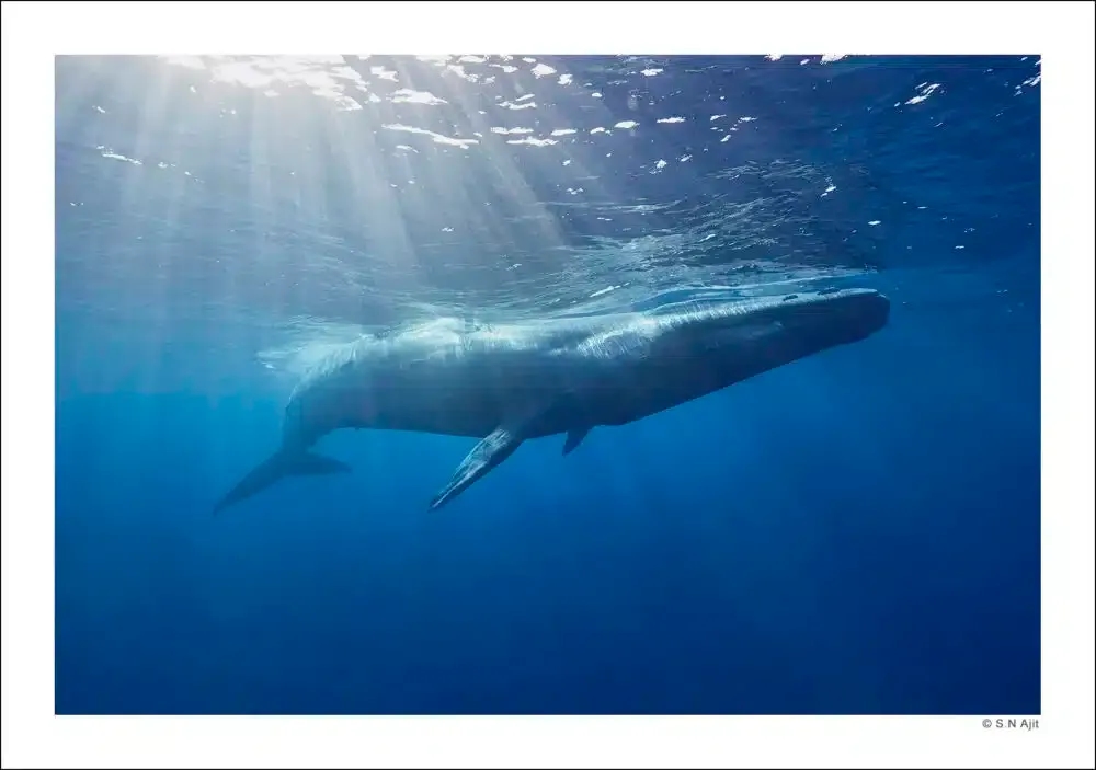 Selecting and Curating Your Work