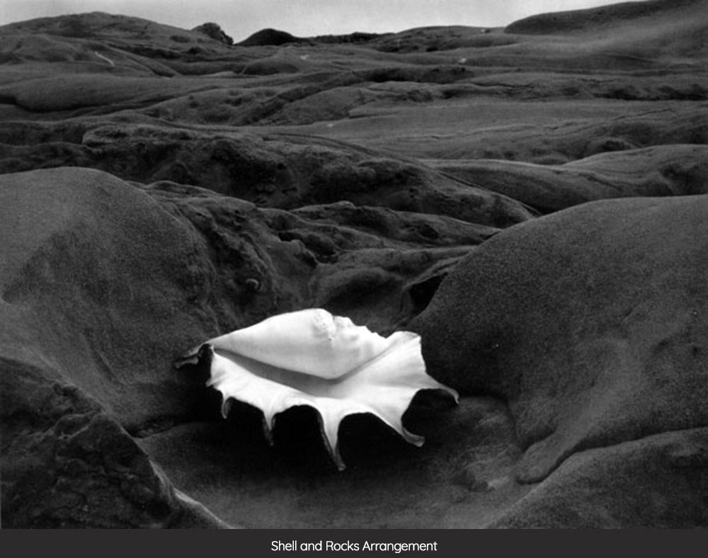 / My work-purpose, my theme, can most nearly be stated as the recognition, recording and presentation of the interdependence, the relativity, of all things – the universality of basic form.