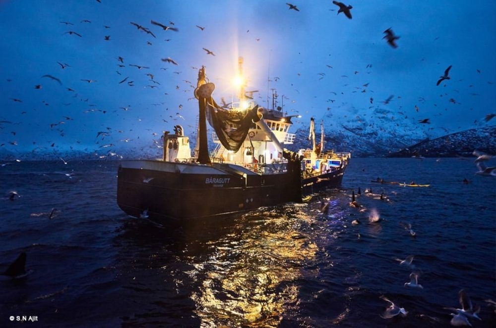 AjitFishing-boat-norway-2-1000x663.jpg